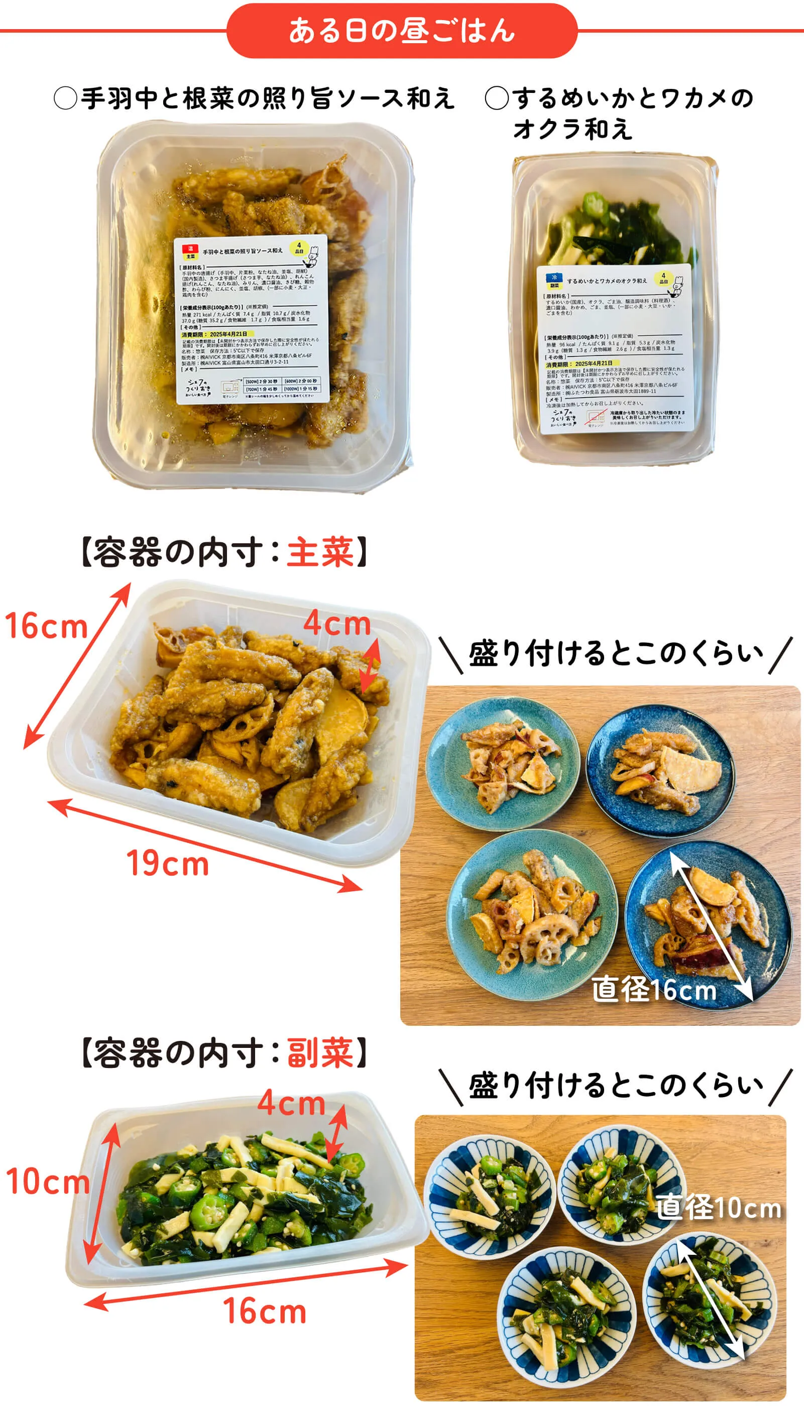 ある日のお昼ご飯に利用：容器の内寸と盛り付け参考例